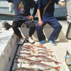 マリンガイド福丸 釣果