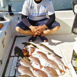 マリンガイド福丸 釣果