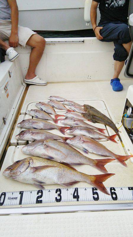 マリンガイド福丸 釣果