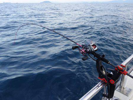 まるいち丸 ZERO-1 釣果