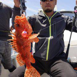 まるいち丸 ZERO-1 釣果