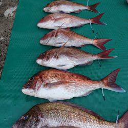 まるいち丸 ZERO-1 釣果