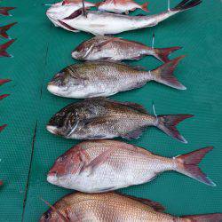 まるいち丸 ZERO-1 釣果