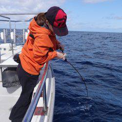 まるいち丸 ZERO-1 釣果