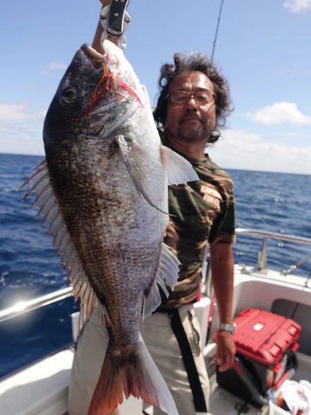 まるいち丸 ZERO-1 釣果