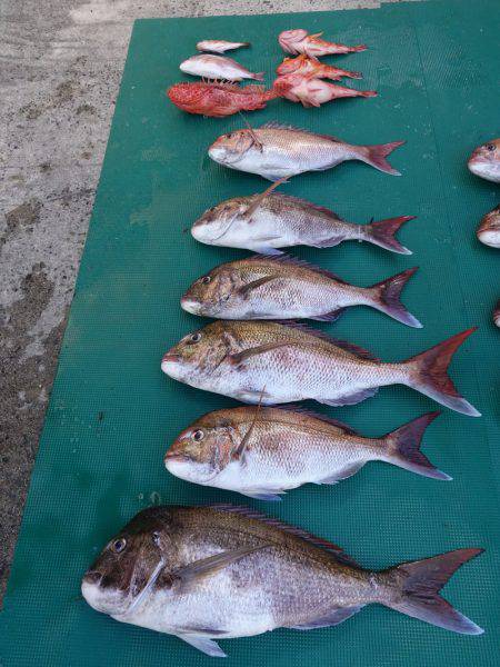 まるいち丸 ZERO-1 釣果