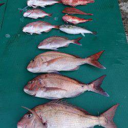 まるいち丸 ZERO-1 釣果