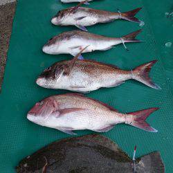 まるいち丸 ZERO-1 釣果