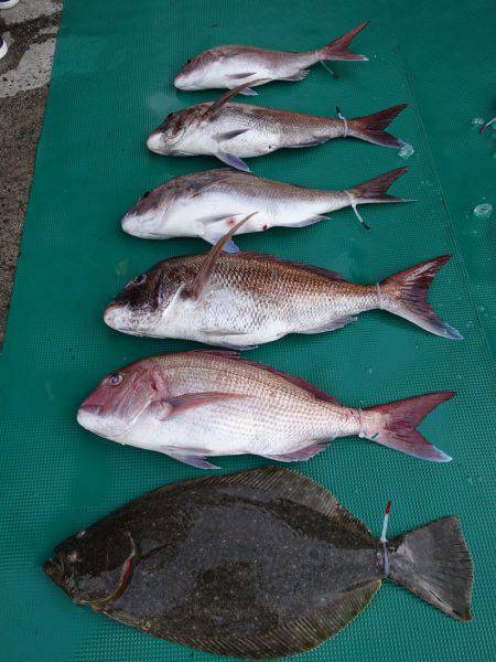 まるいち丸 ZERO-1 釣果