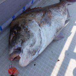 まるいち丸 ZERO-1 釣果