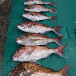 まるいち丸 ZERO-1 釣果