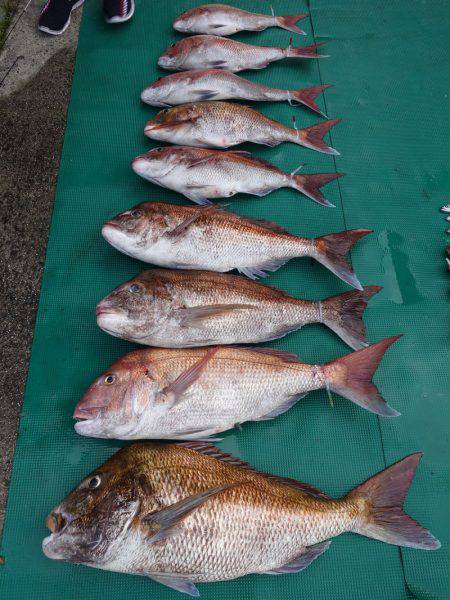 まるいち丸 ZERO-1 釣果