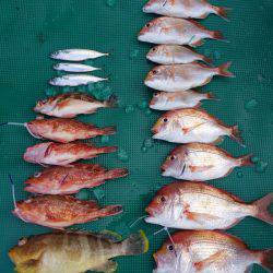 まるいち丸 ZERO-1 釣果