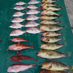 まるいち丸 ZERO-1 釣果