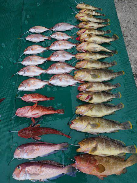 まるいち丸 ZERO-1 釣果