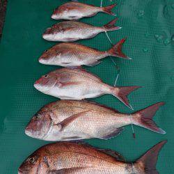 まるいち丸 ZERO-1 釣果