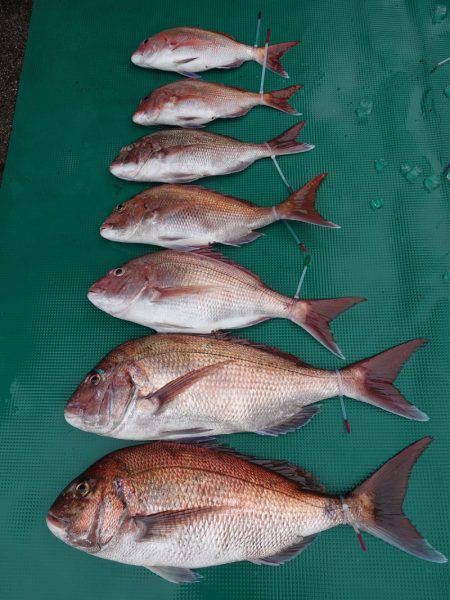 まるいち丸 ZERO-1 釣果