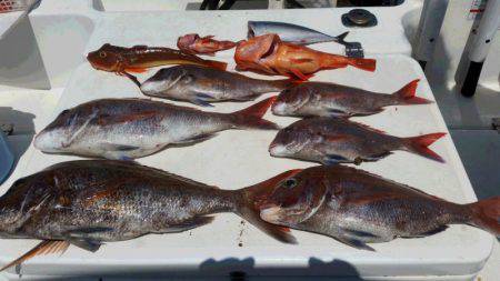 JDI Racing シールズマリンレジャー 釣果