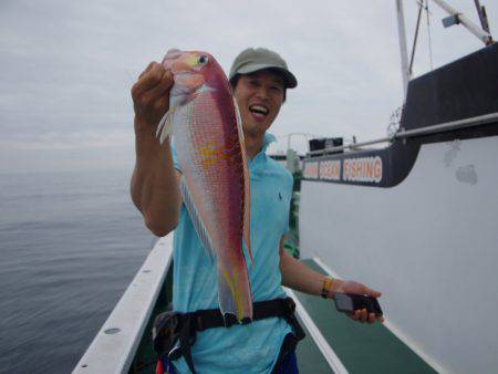 Big One　ビッグワン 釣果