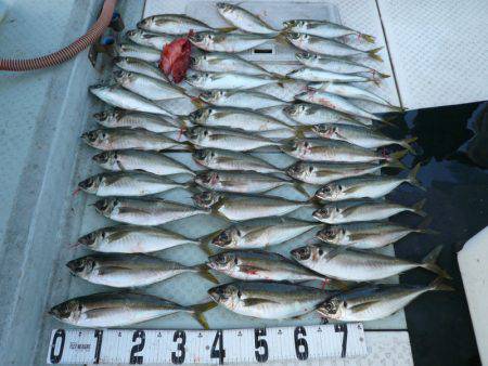 オーシャンスター(Ocean Star) …