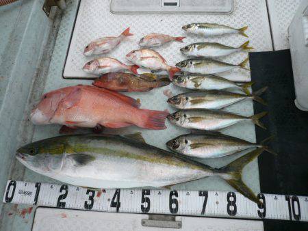 オーシャンスター(Ocean Star) …