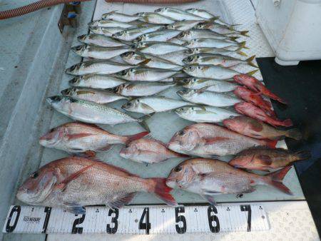 オーシャンスター(Ocean Star) …