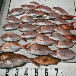 オーシャンスター(Ocean Star) 釣果