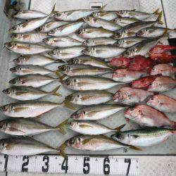 オーシャンスター(Ocean Star) 釣果