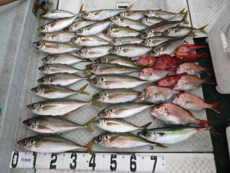 オーシャンスター(Ocean Star) …