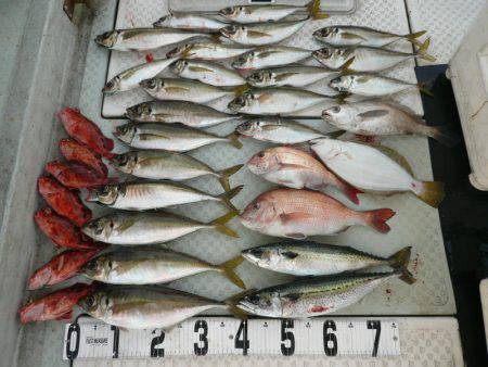 オーシャンスター(Ocean Star) …