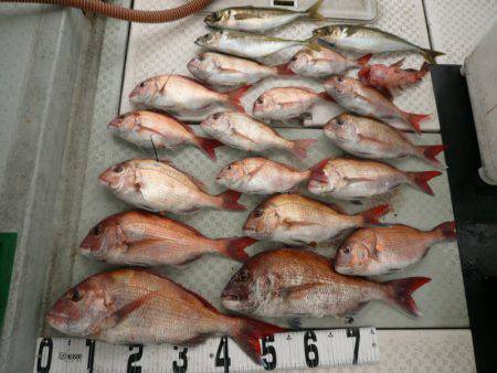 オーシャンスター(Ocean Star) …