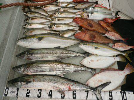 オーシャンスター(Ocean Star) …