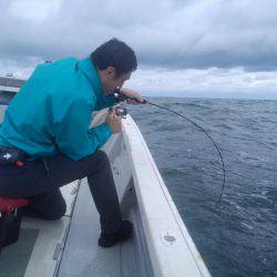 ひな丸 釣果