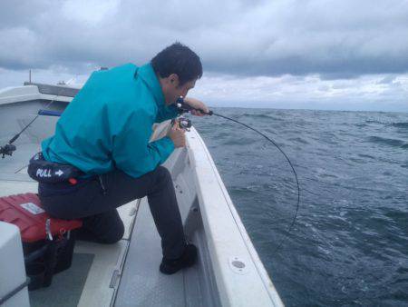 ひな丸 釣果