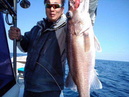 ひな丸 釣果