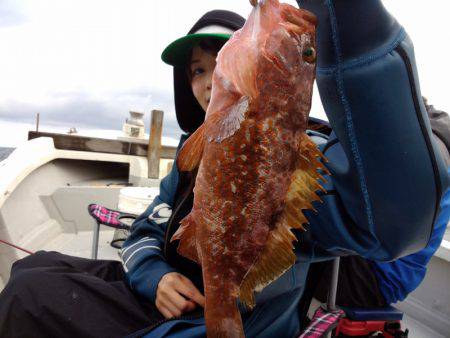 ひな丸 釣果
