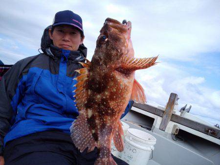 ひな丸 釣果