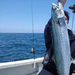ひな丸 釣果