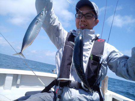 ひな丸 釣果