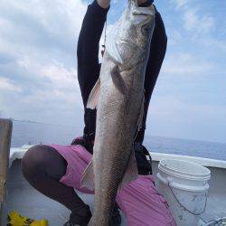 ひな丸 釣果