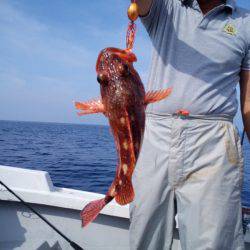 ひな丸 釣果