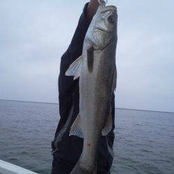 ひな丸 釣果