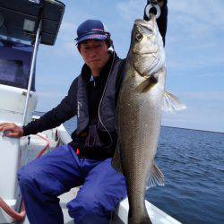 ひな丸 釣果