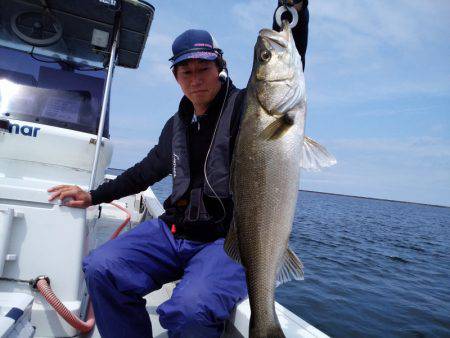 ひな丸 釣果