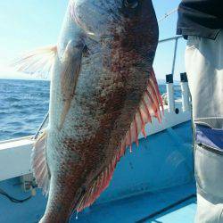 シースナイパー海龍 釣果