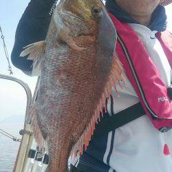 シースナイパー海龍 釣果