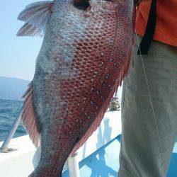 シースナイパー海龍 釣果