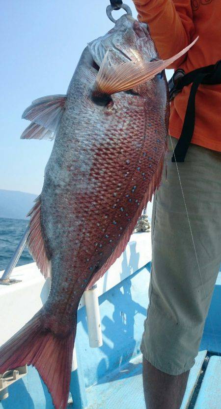 シースナイパー海龍 釣果