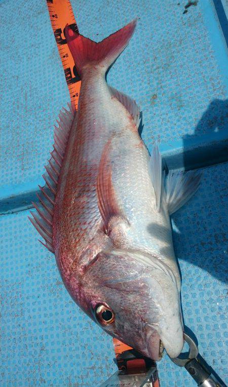 シースナイパー海龍 釣果