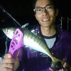 シースナイパー海龍 釣果